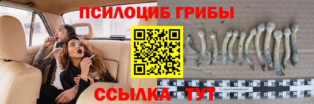 Галлюциногенные грибы Cubensis  Галлюциногенные грибы Psilocybe  Вход с VPN  Липецк 