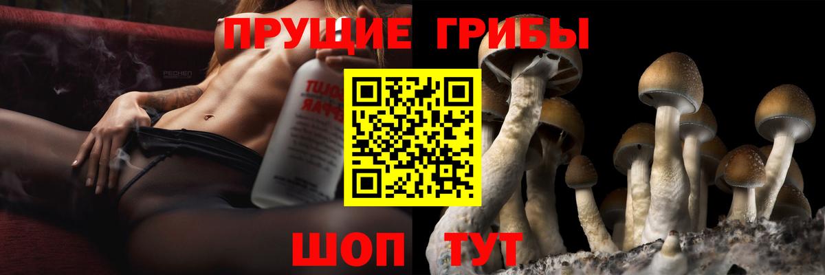 наркошоп  Галлюциногенные грибы GOLDEN TEACHER  Липецк  Псилоцибиновые грибы прущие грибы 