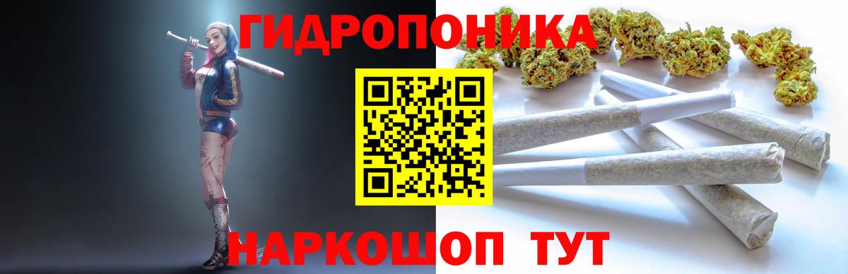 Бошки марихуана SATIVA & INDICA  Липецк  МАРИХУАНА SATIVA & INDICA 